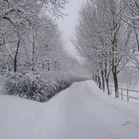 Il Quadrifoglio Gospodarstwo wiejskie *