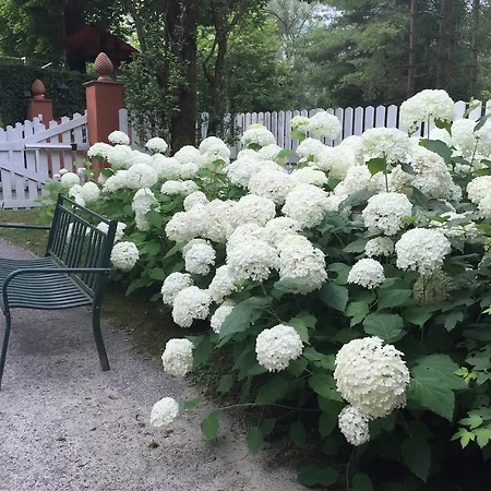 Il Quadrifoglio Sciolze