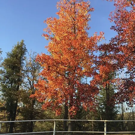 Il Quadrifoglio Casa di campagna *
