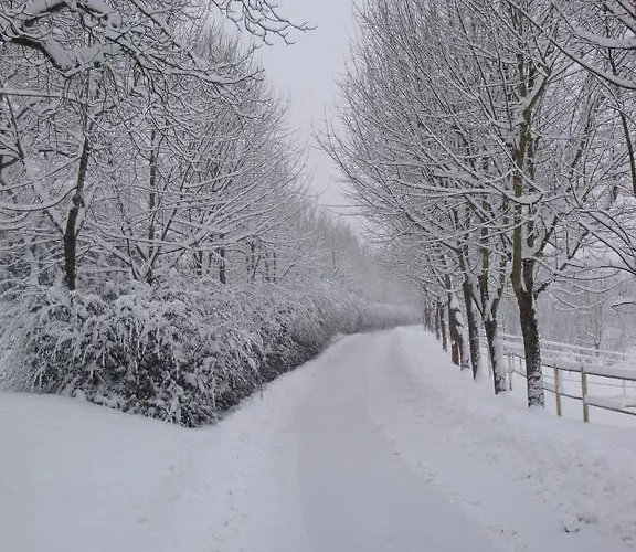 Il Quadrifoglio Kır Evi *