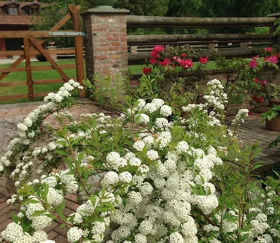 Il Quadrifoglio Kır Evi *