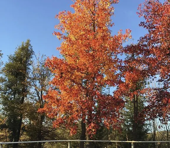Il Quadrifoglio Kır Evi *